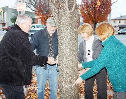 Decorate Downtown Trees